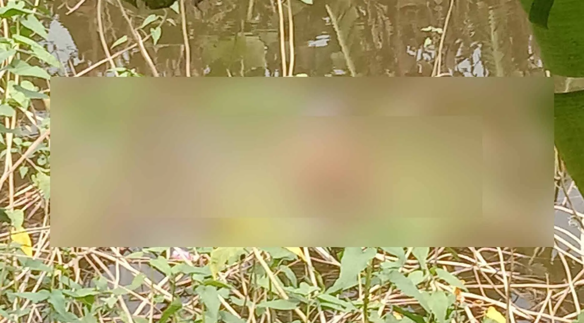 বরিশালে ডোবায় মিলল বৃদ্ধর মরদেহ